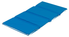 MAT 4 SECTION 24X48X2 BLUE/BLUE EACH