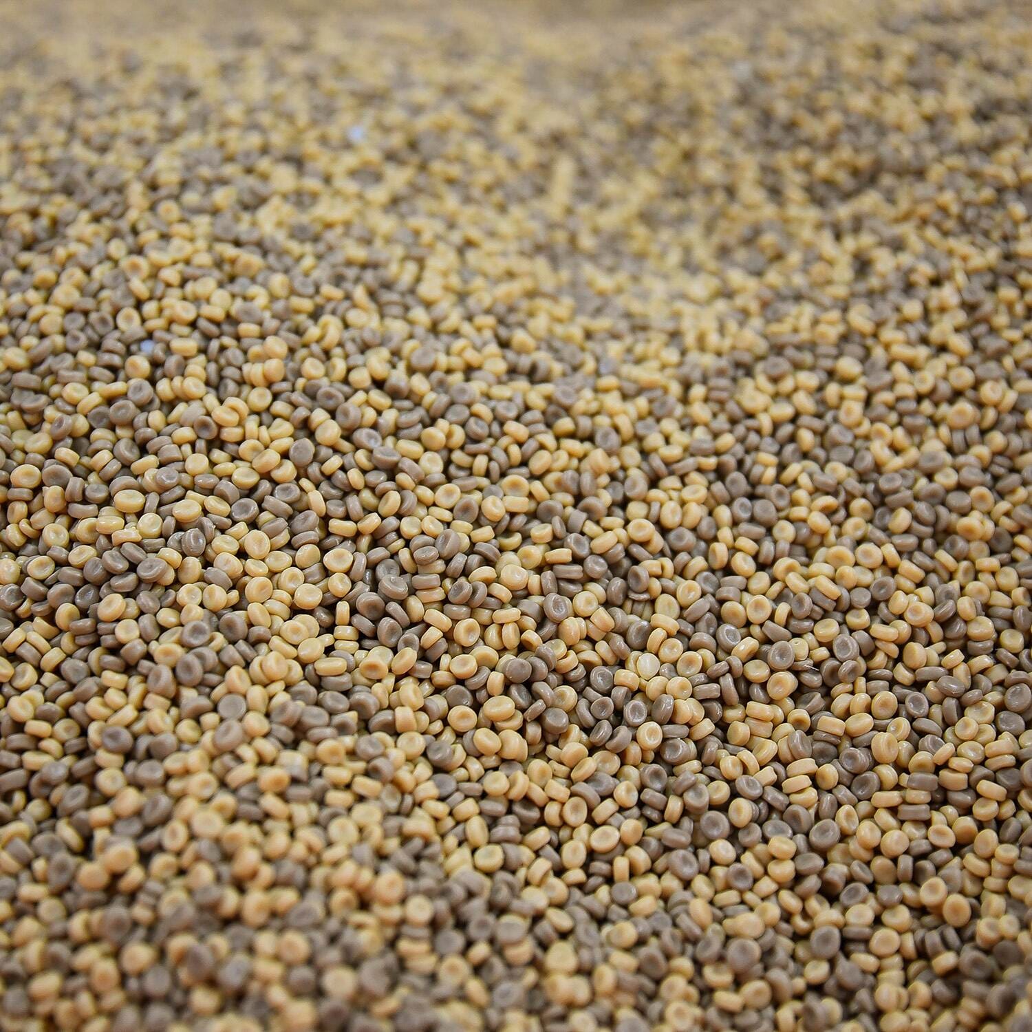 KIDFETTI SAND BROWN 10 POUNDS