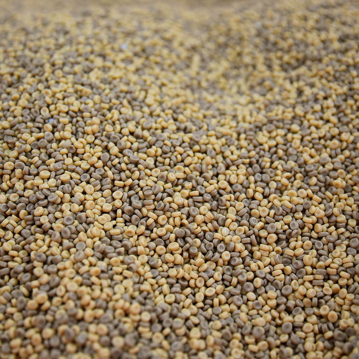 KIDFETTI SAND BROWN 10 POUNDS