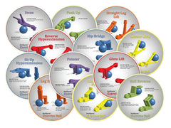 SPOT MARKER HOTSPOTS EXERCISE BALL SET OF 12