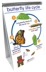 FLIP CHART EC ALL ABOUT ANIMALS