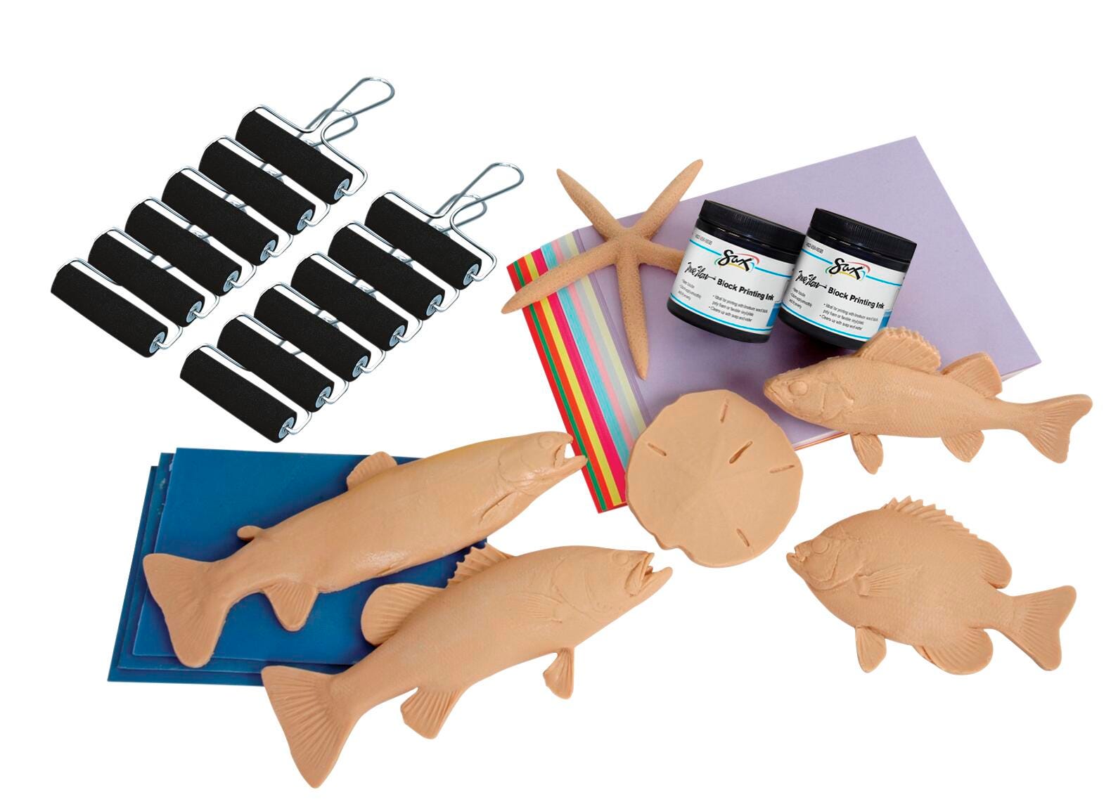 PRINT MODELS GYOTAKU CLASSROOM KIT