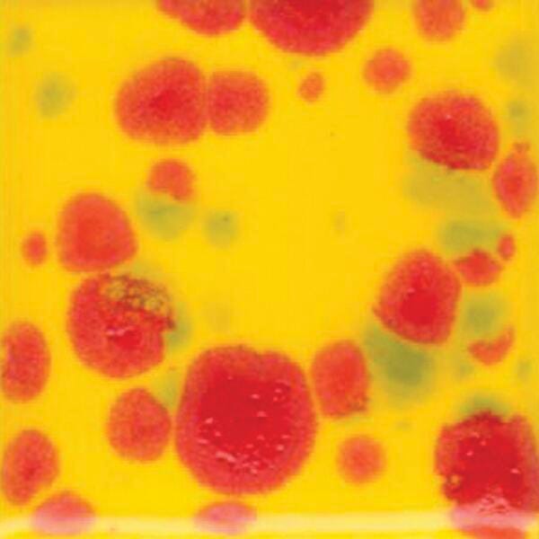 GLAZE SAX COLORBURST FIESTA PINT