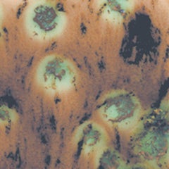 GLAZE MAYCO CRYSTALITES S2709 CAPPUCCINO MINT PINT