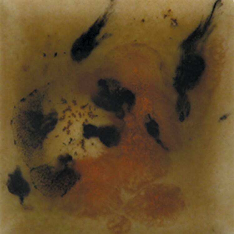 GLAZE MAYCO CRYSTALITES S2725 SAFARI PINT