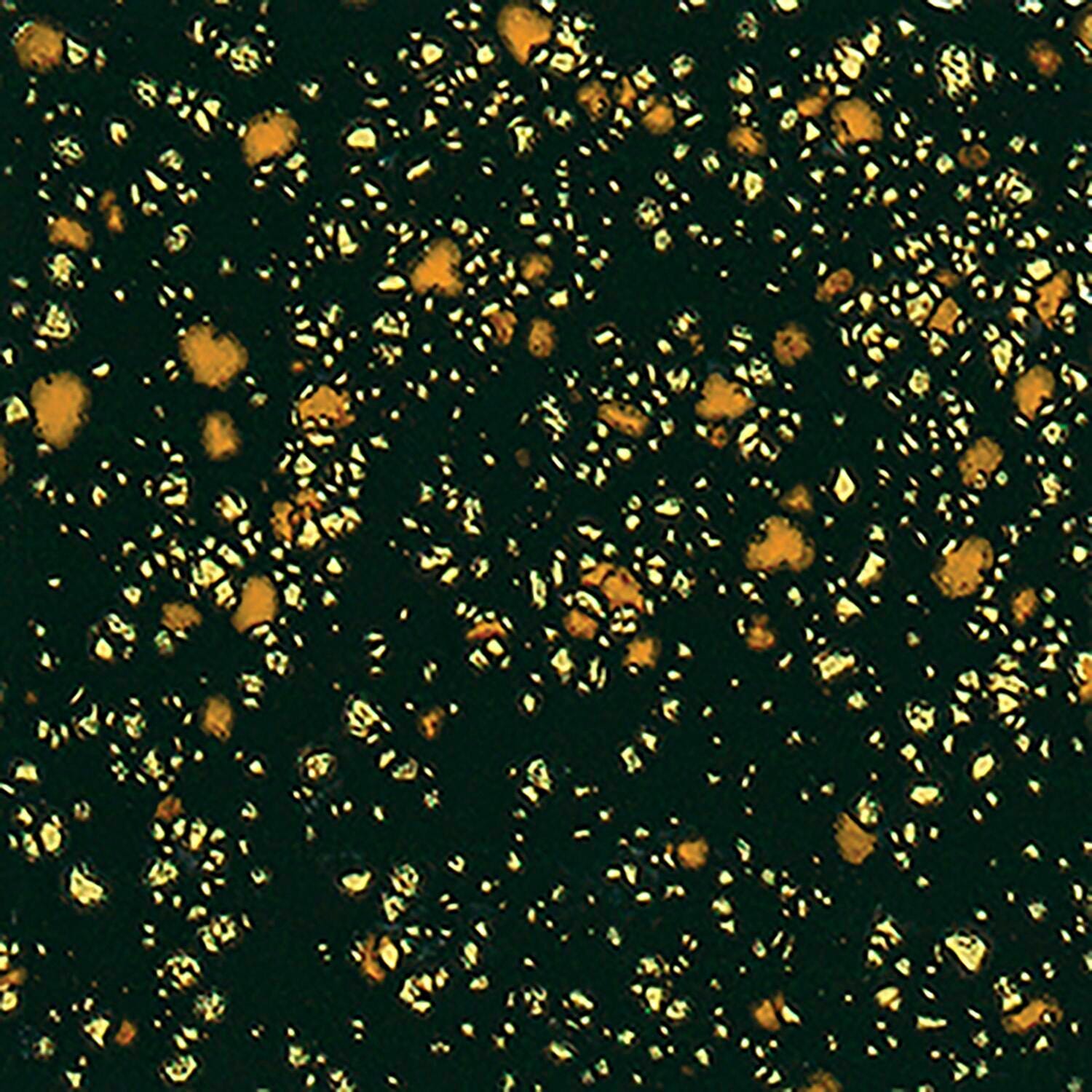 GLAZE SAX COLORBURST BLACK IRIS PINT