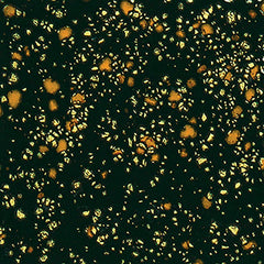 GLAZE MAYCO JUNGLE GEMS CG-798 BLACK IRIS PINT