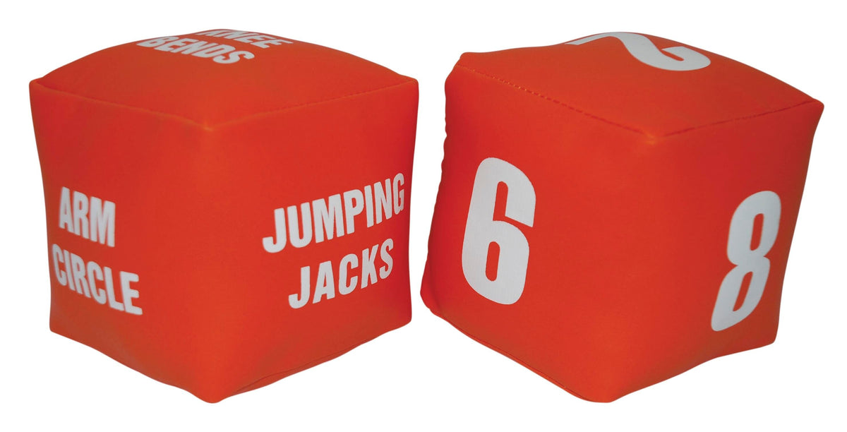 FITNESS DICE 4X4 VINYL COVER PAIR OF 2