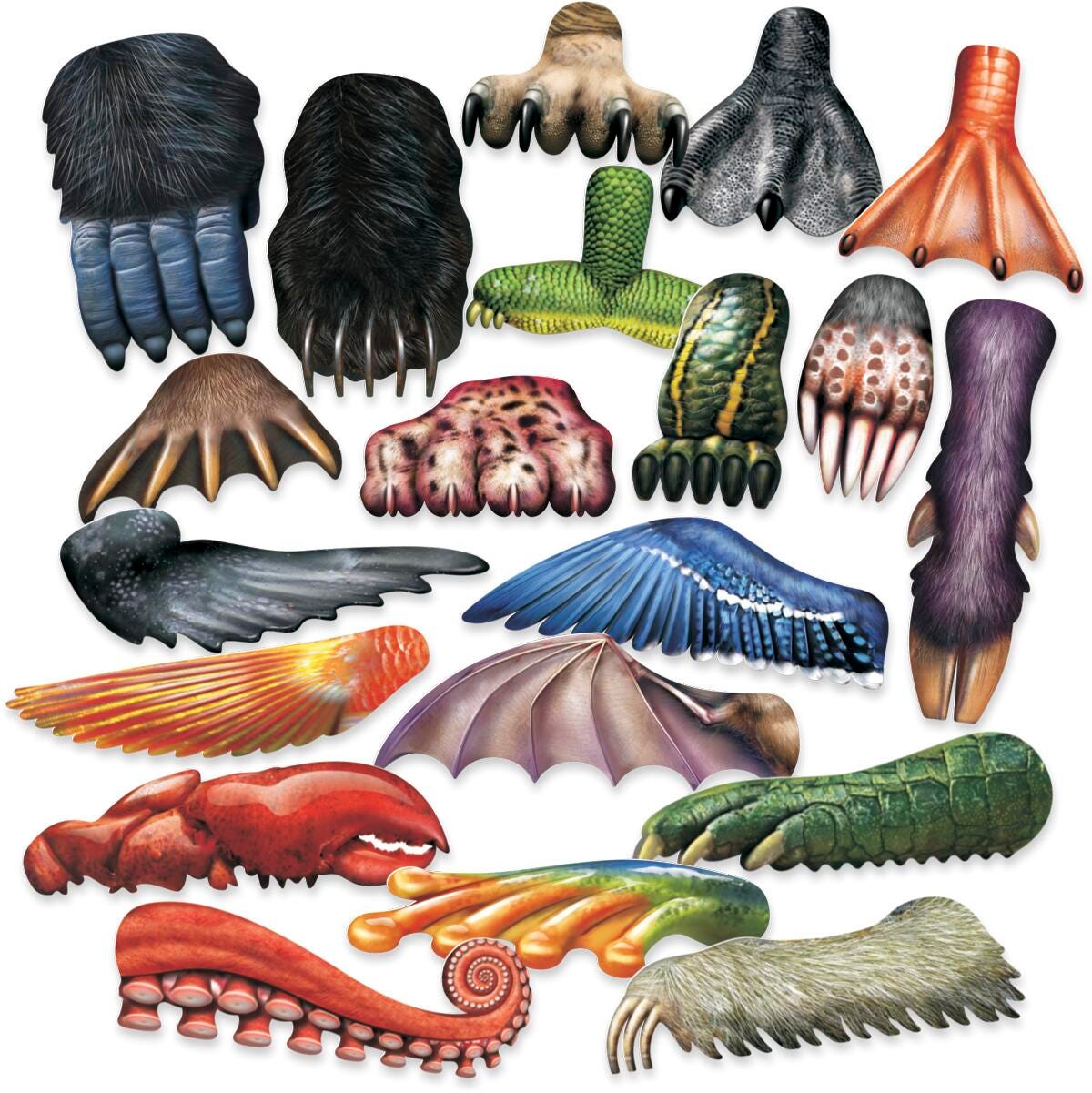 PAINT SCRAPERS ANIMAL SHAPES SET OF 20