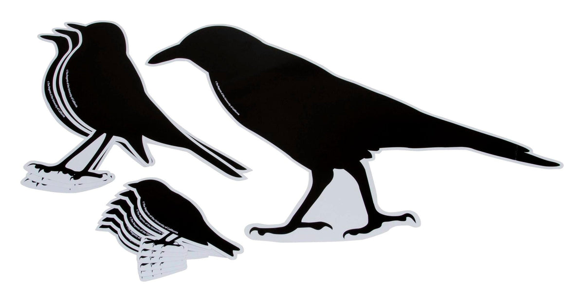 SILHOUETTES BIRDS SET/10