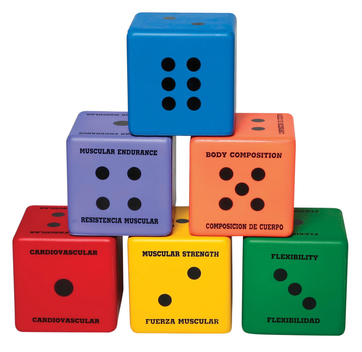 GAME FIVE COMPONENTS OF FITNESS DICE SET OF 6