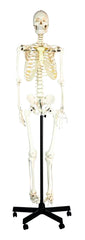 SKELETON HUMAN ROD MOUNT