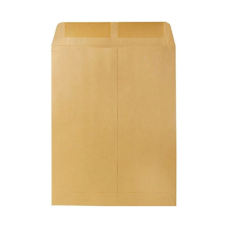 ENVELOPE CATALOG 10X13 IN KRAFT BX OF 100