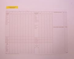 FOLDER CUMULATIVE RECORD DATA INSERT 9X11-3/4 PACK OF 25