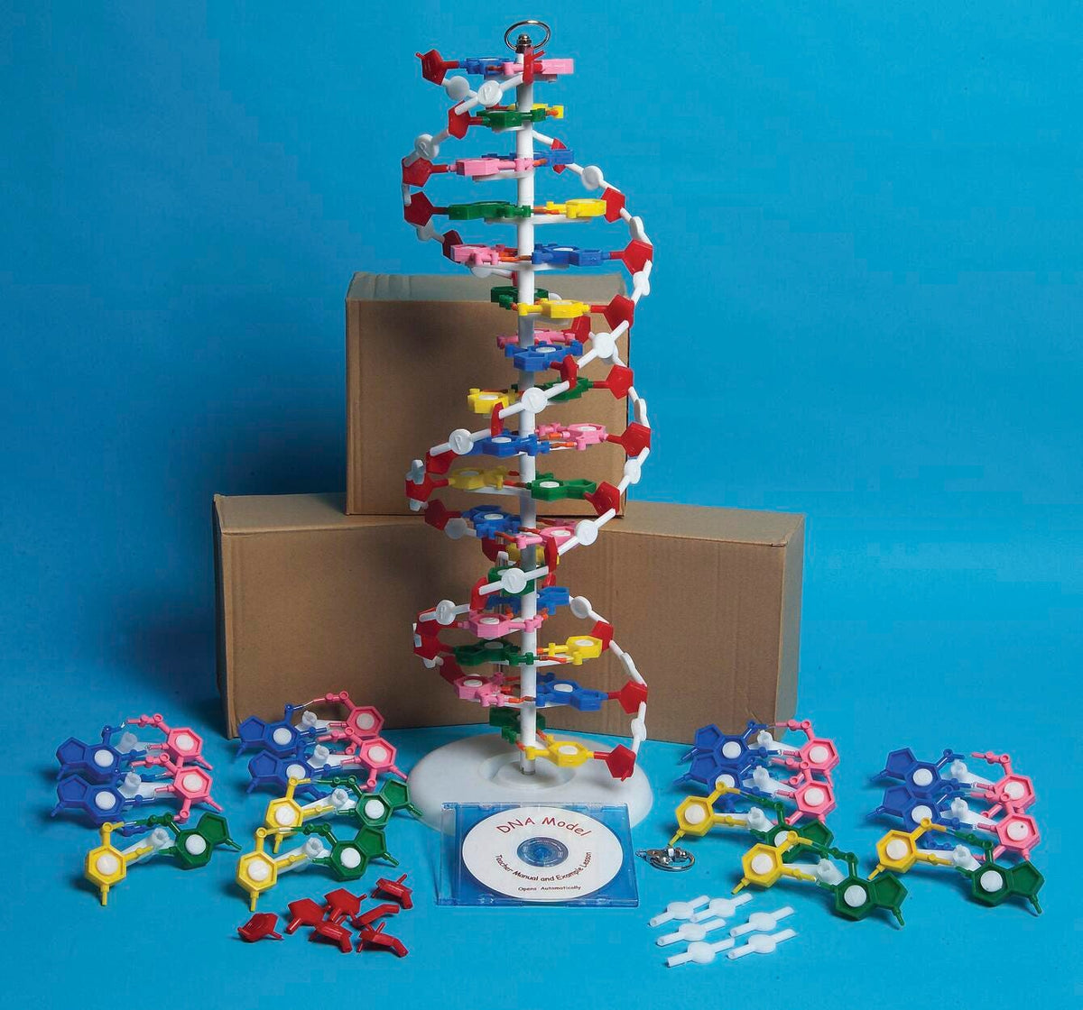 MODEL DNA UNASSEMBLED SET OF 4 W/CD