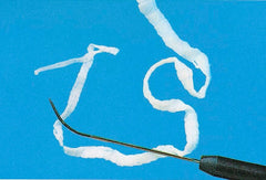 TAPEWORM TAENIA PISIFORMIS EA