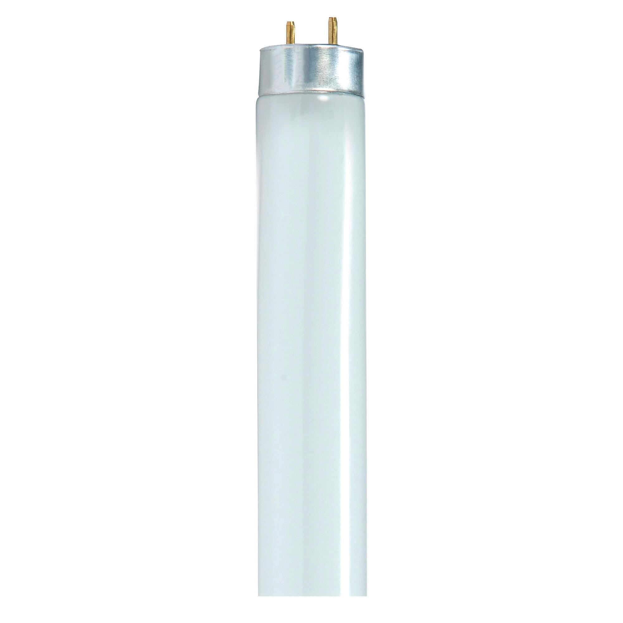 LIGHT TUBE 32 WT T8 4100K COOL WHITE SDNS8420 PACK OF 30