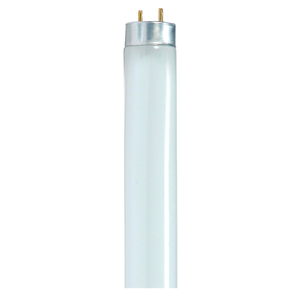 LIGHT TUBE 32 WT T8 4100K COOL WHITE SDNS8420 PACK OF 30