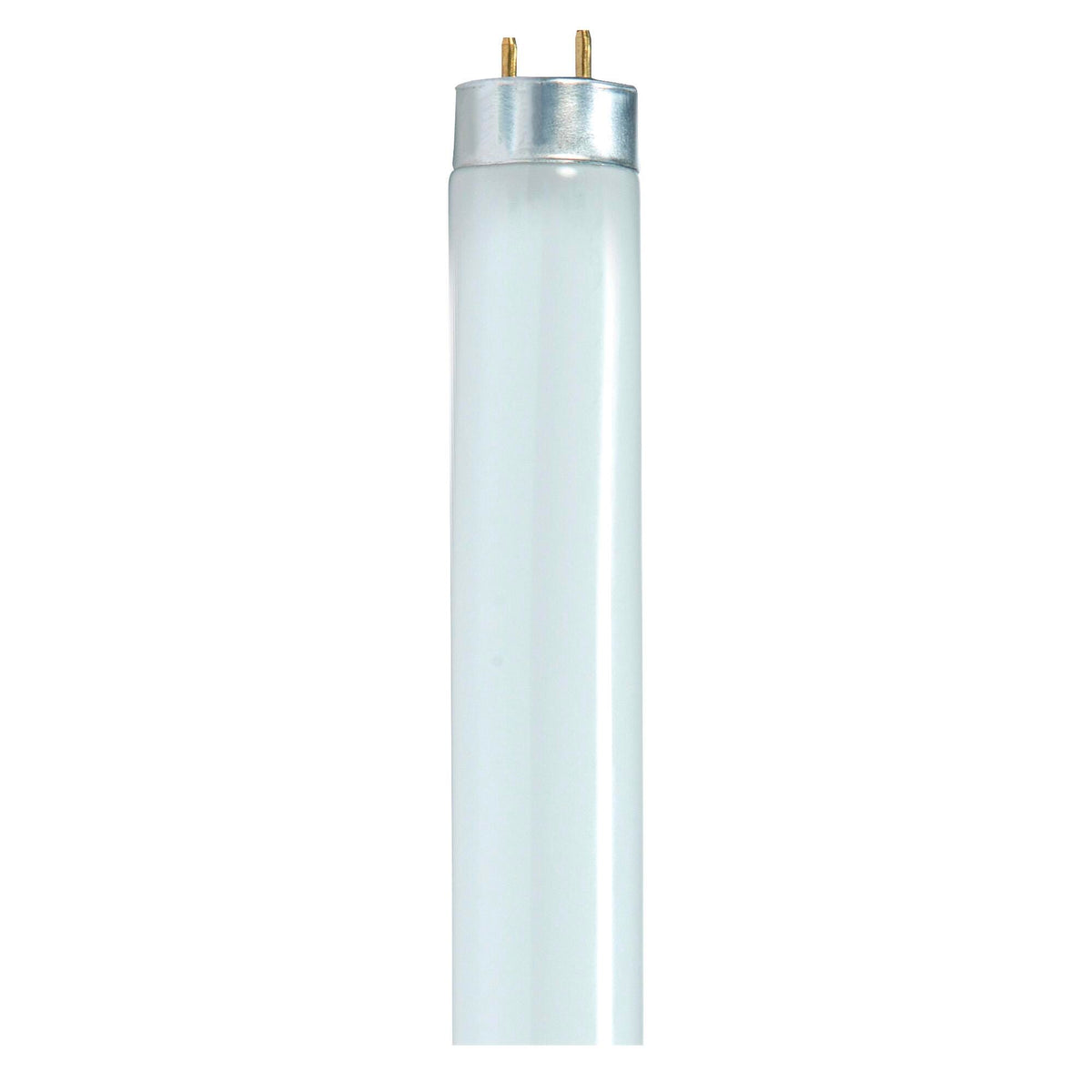 LIGHT TUBE 28 WT T8 4100K COOL WHITE SDNS8424 PACK OF 30