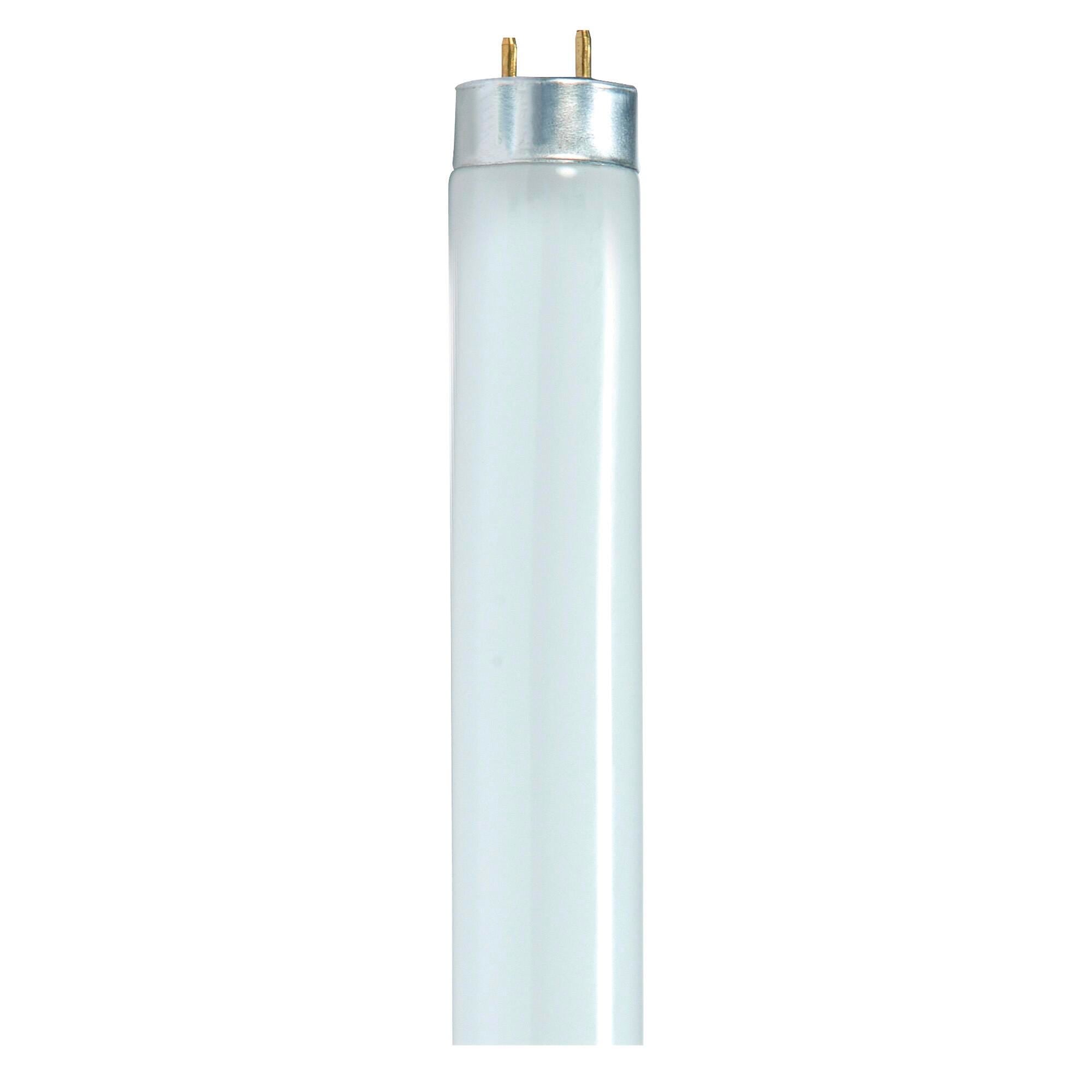 LIGHT TUBE 25 WT T8 4100K COOL WHITE SDNS8440 PACK OF 30