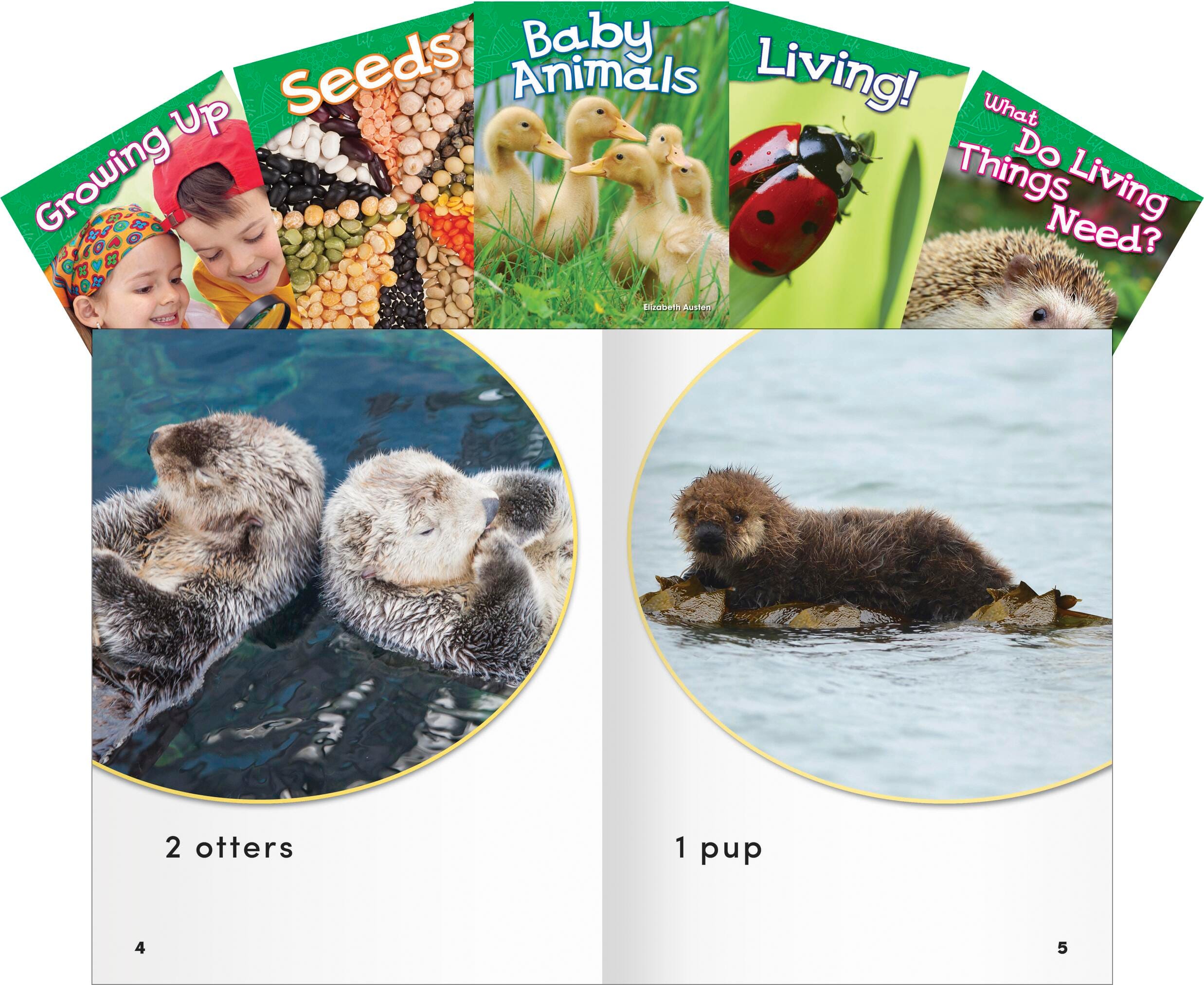 BOOKS LIFE SCIENCE GR K SET OF 5