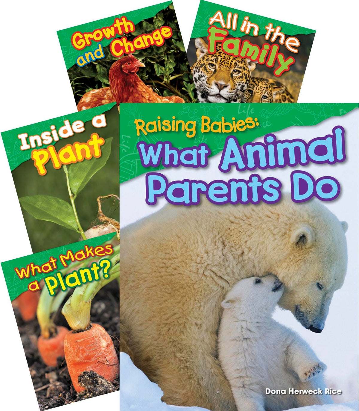 BOOKS LIFE SCIENCE GR 1 SET OF 5