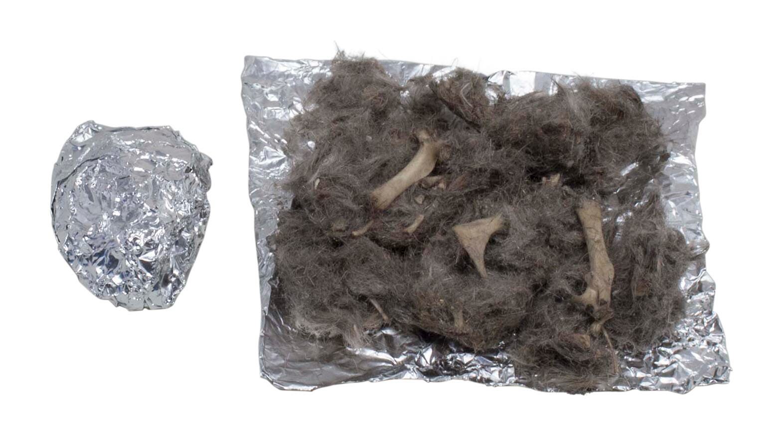 OWL PELLET PKG/1