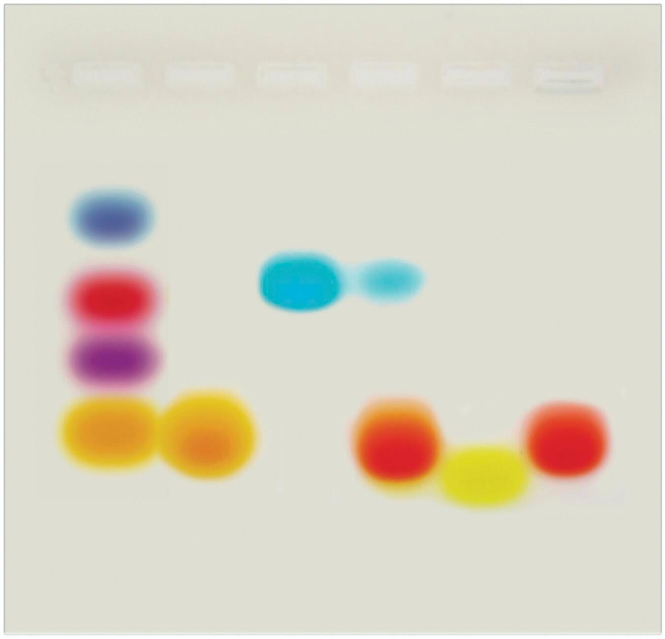 ELECTROPHORESIS FOOD SCI TO BIOTECH CANDY