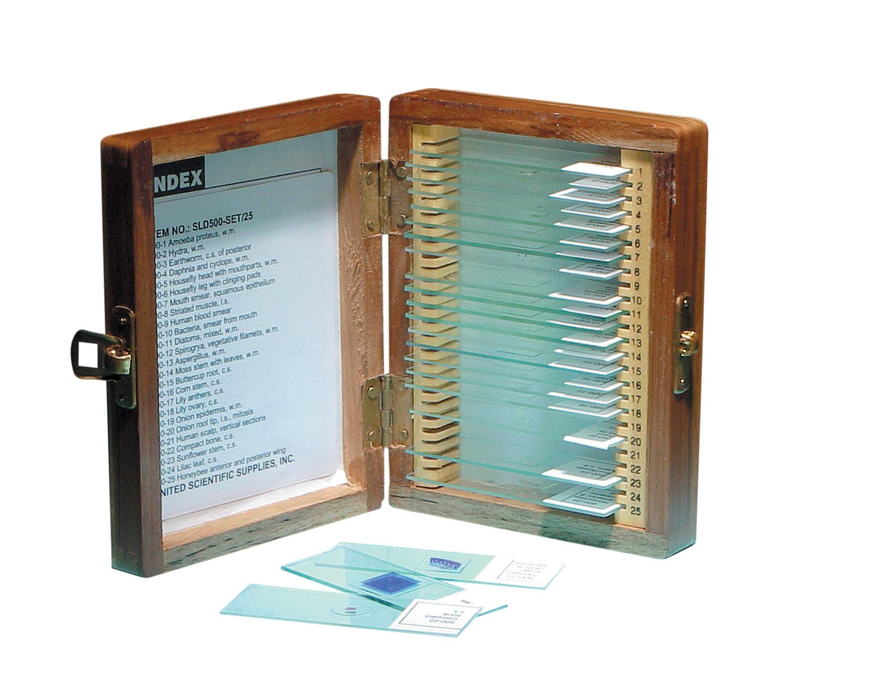 SLIDES PREPARED SET OF 25