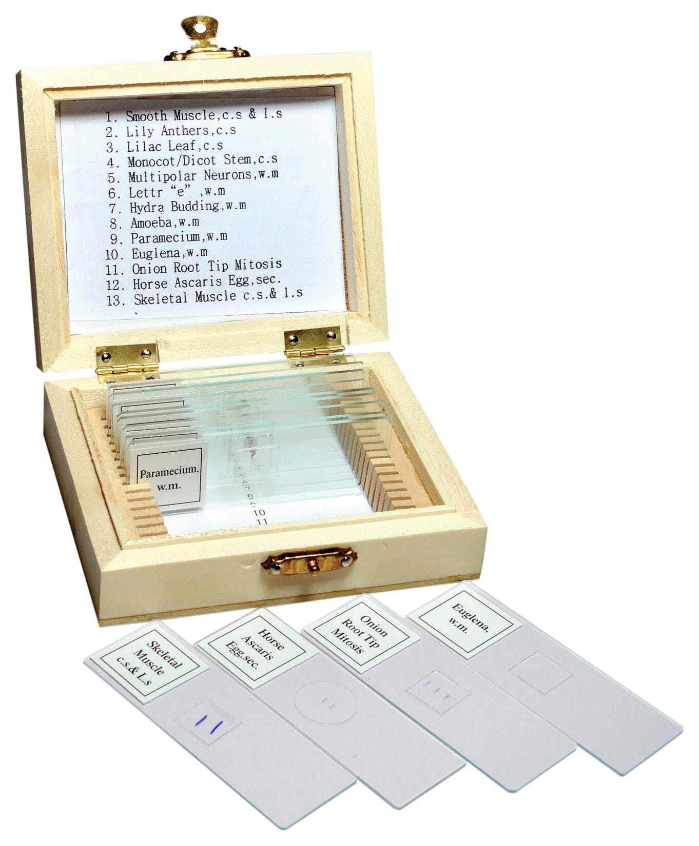 SLIDE PREPARED SET OF 13