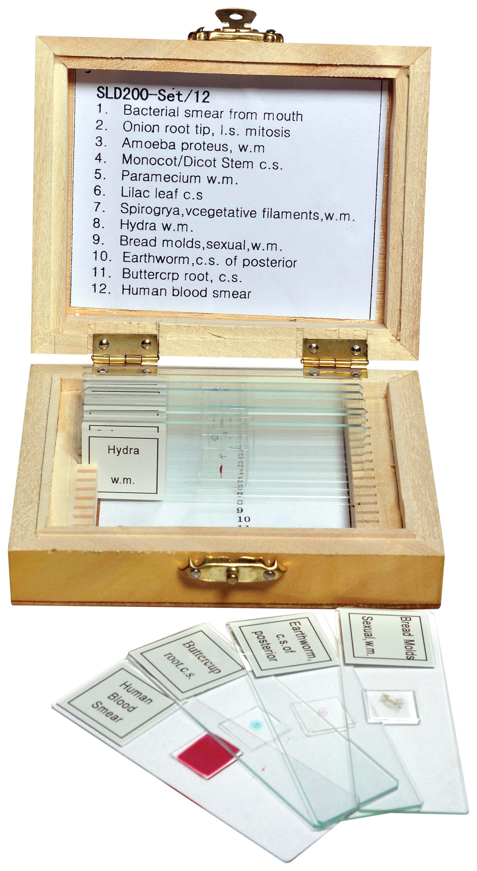 SLIDES PREPARED BIOLOGY SET OF 12