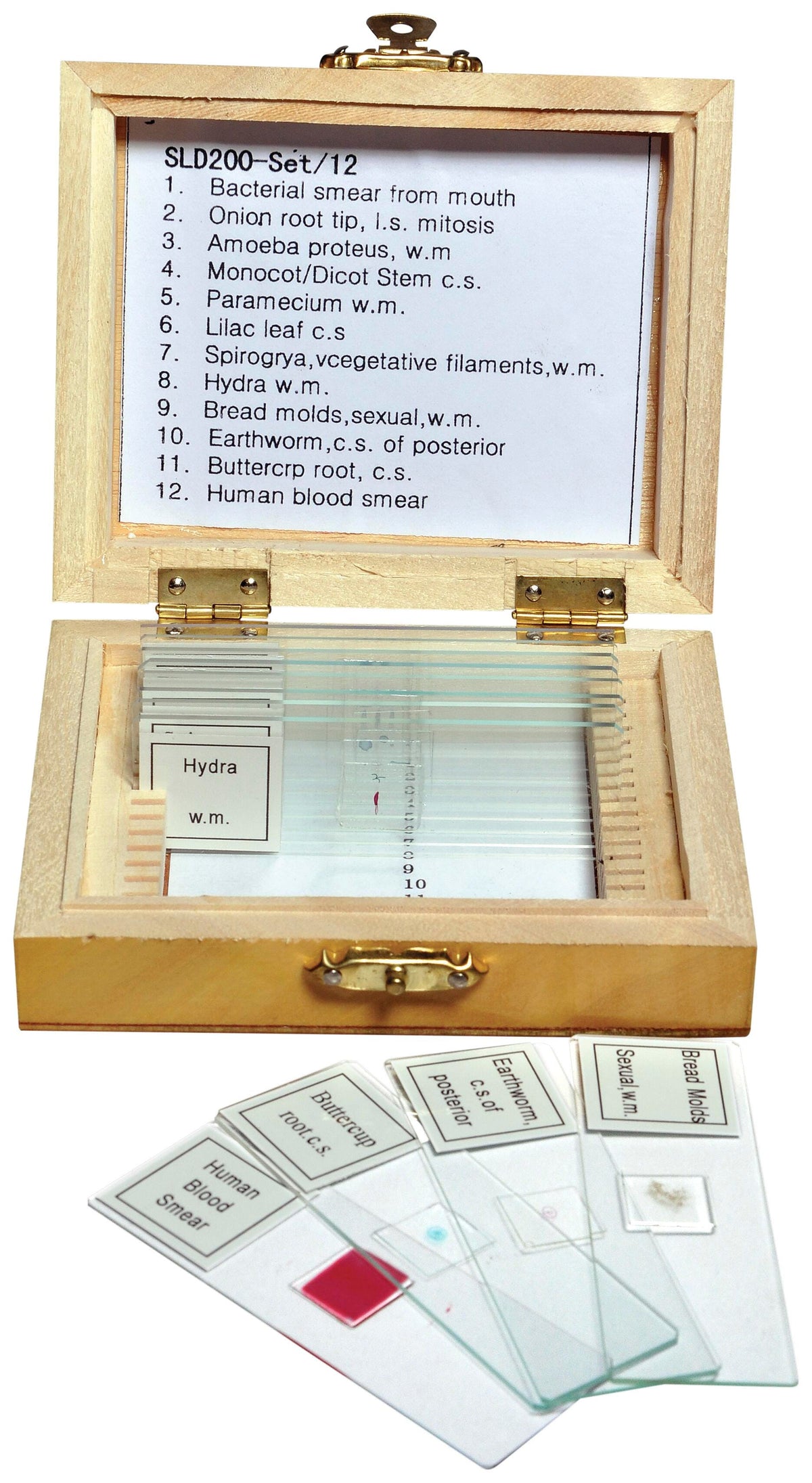 SLIDES PREPARED BIOLOGY SET OF 12