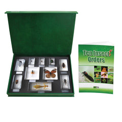 BLOCK 10 INSECT ORDERS