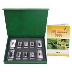 BLOCK 10 INSECT FOES T210