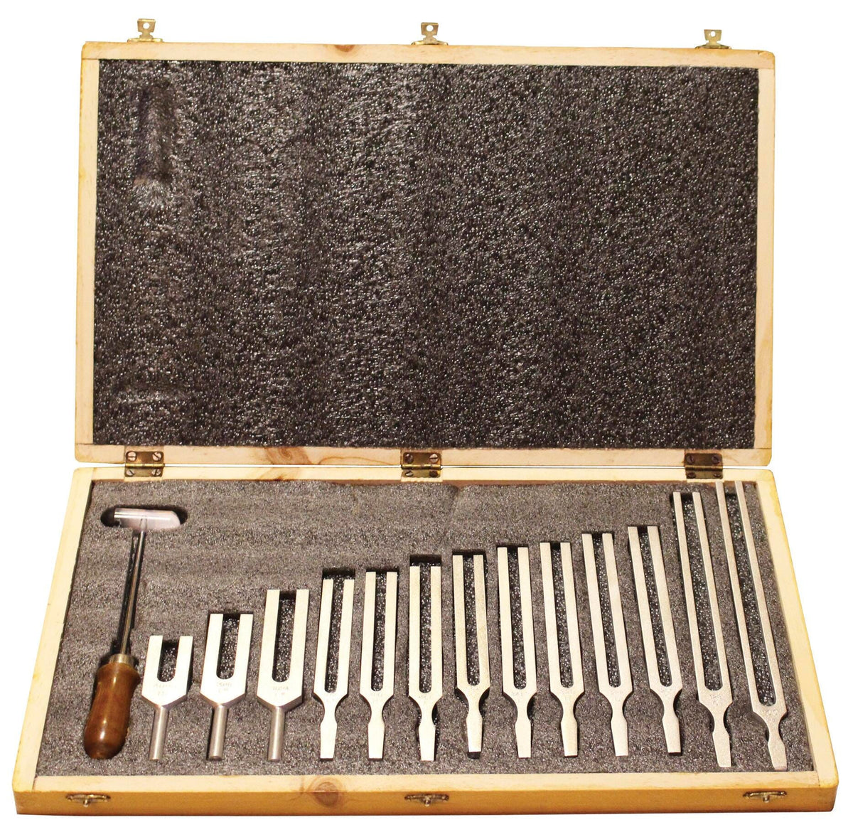 TUNING FORK STEEL SET/13