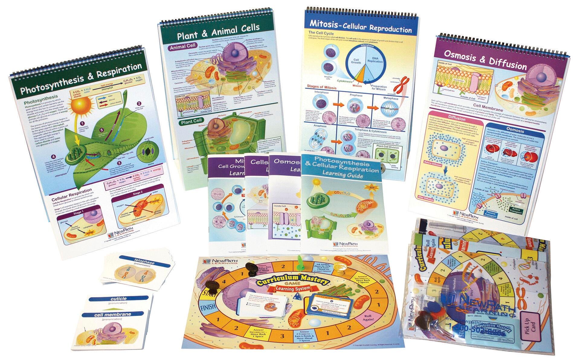 DISC-KIT SKILL BUILDER FROM MOLECULES TO ORGANISMS