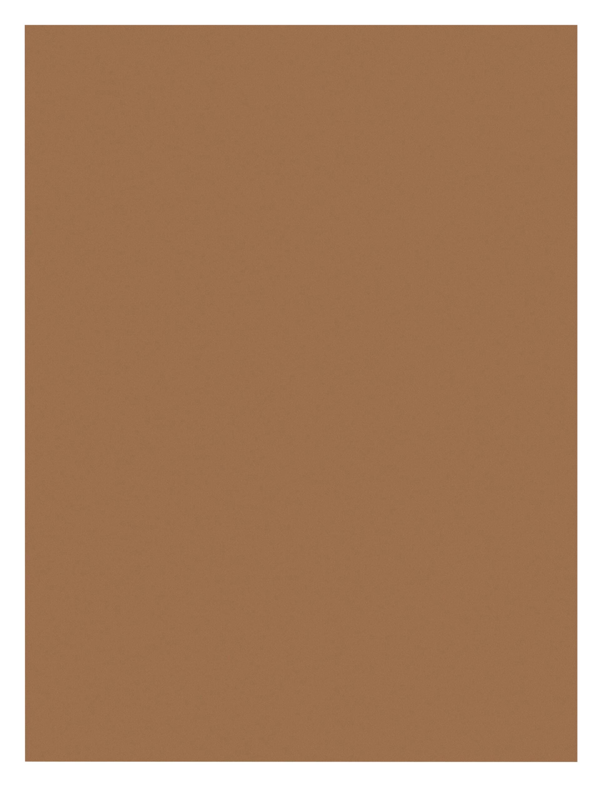 CONST PPR 9X12 LIGHT BROWN PRANG PACK OF 100