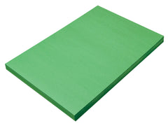 CONST PPR 12X18 HOLIDAY GREEN PRANG PACK OF 100