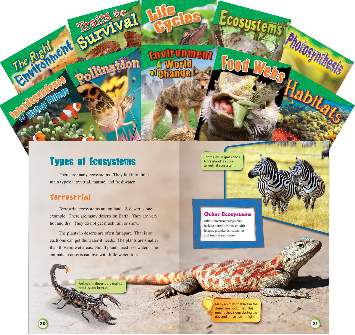 BOOKS - LETS EXPLORE LIFE SCIENCE GR 2-3 SET OF 10