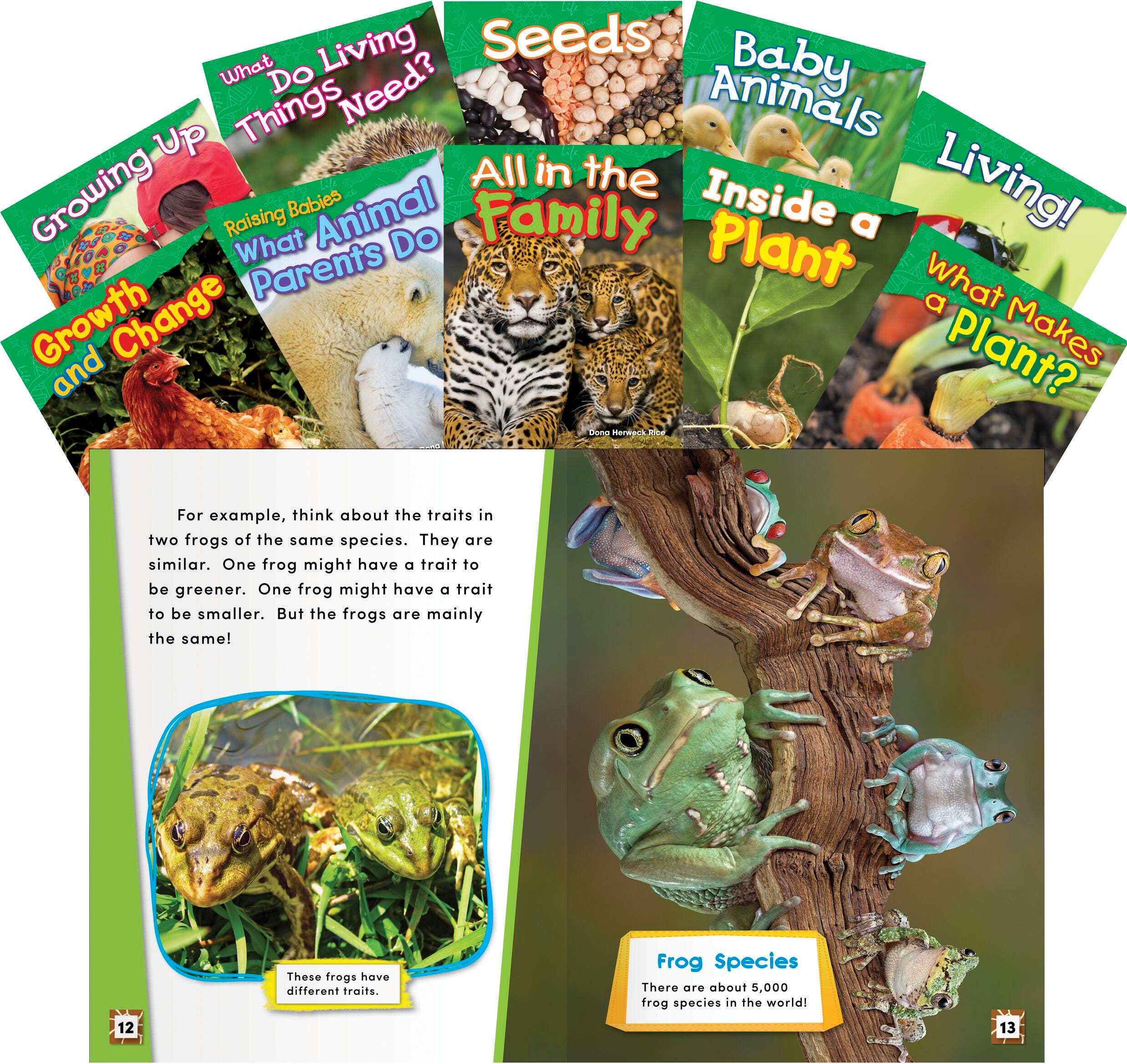 BOOKS - LETS EXPLORE LIFE SCIENCE GR K-1 SET OF 10
