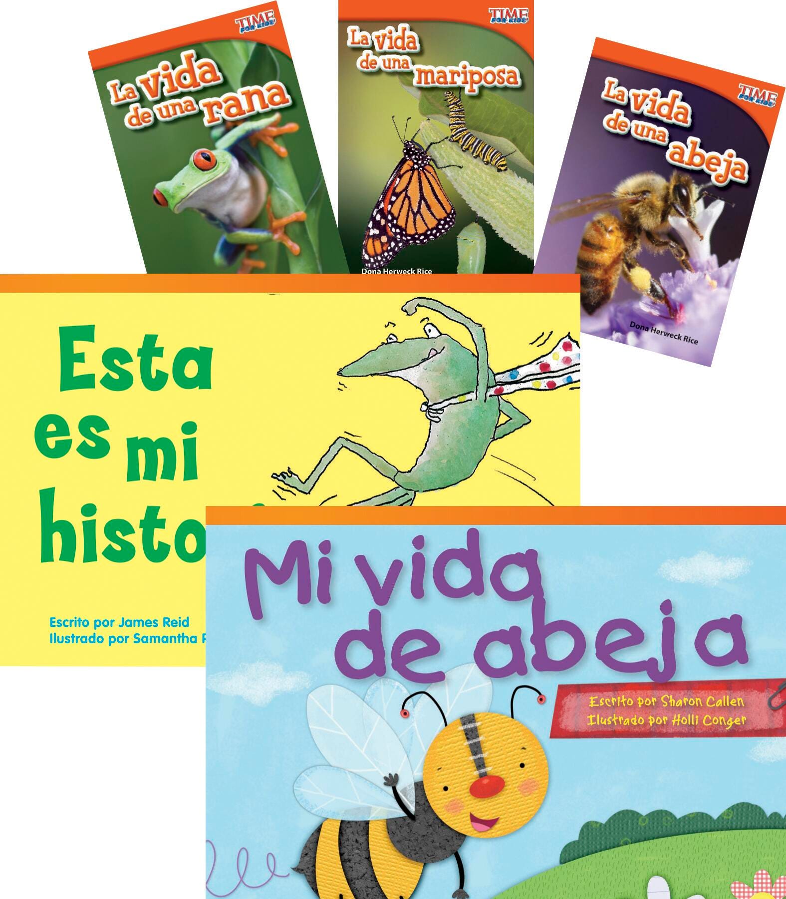 BOOKS CICLOS DE VIDA/LIFE CYCLES SPANISH SET OF 6