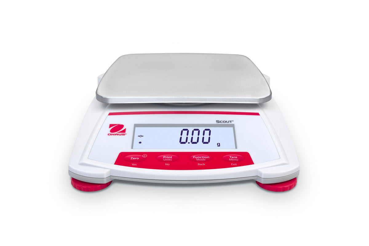 BALANCE SCOUT BACKLIT LCD 8200G X 1