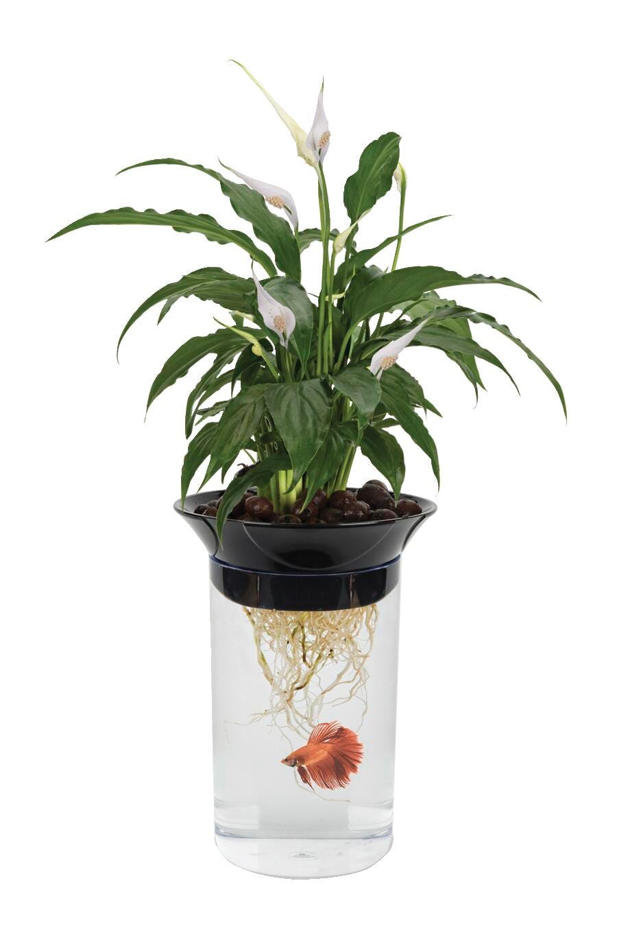 NATURES AQUA-PONIC PLANTER + FISH HABITAT