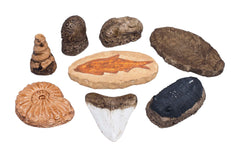 FOSSIL REPLICAS FOSS SET/8