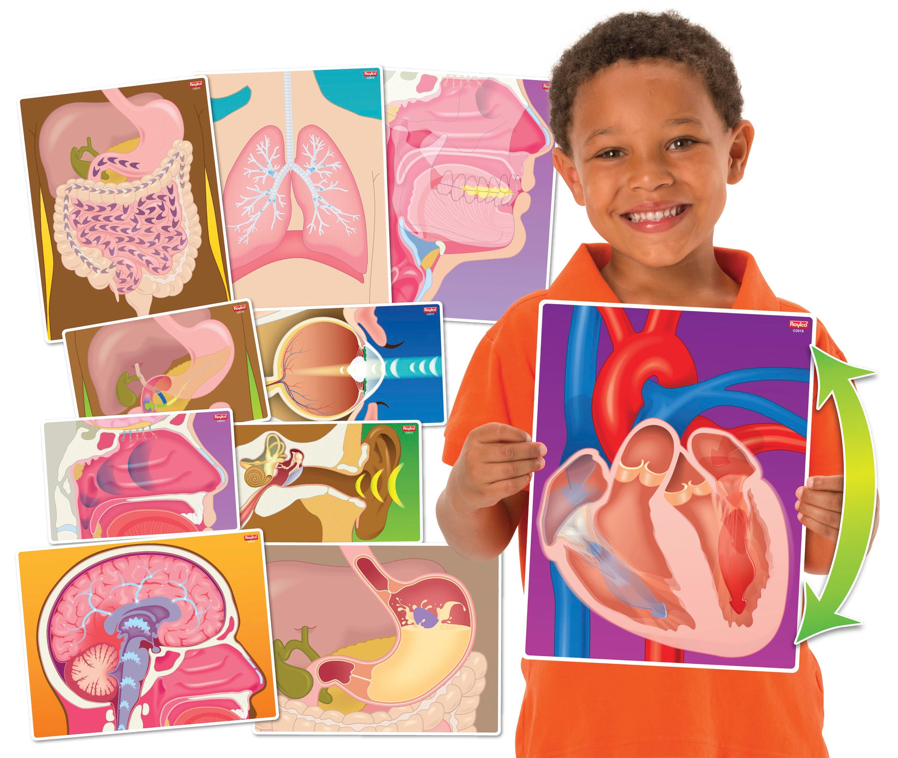 MY BODY IN ACTION SET OF 10