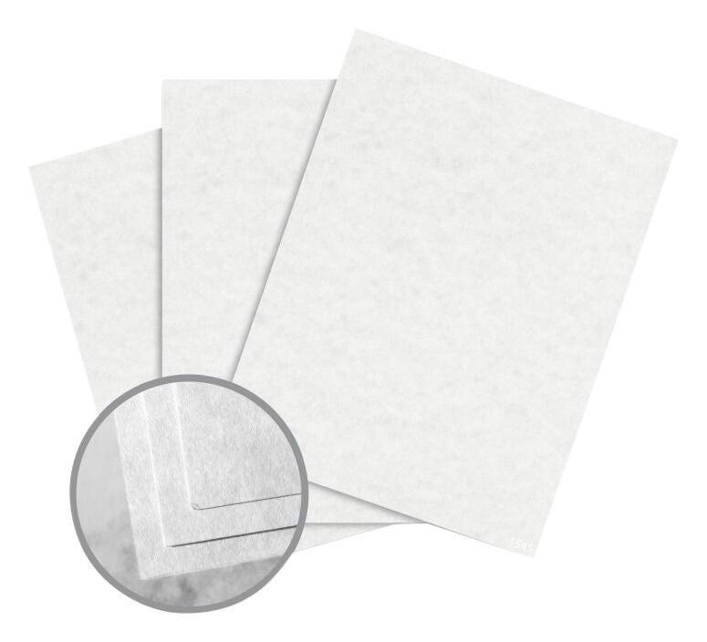 PAPER ASTROPARCHE WHITE 65 LB 8.5X11 IN CASE OF 8