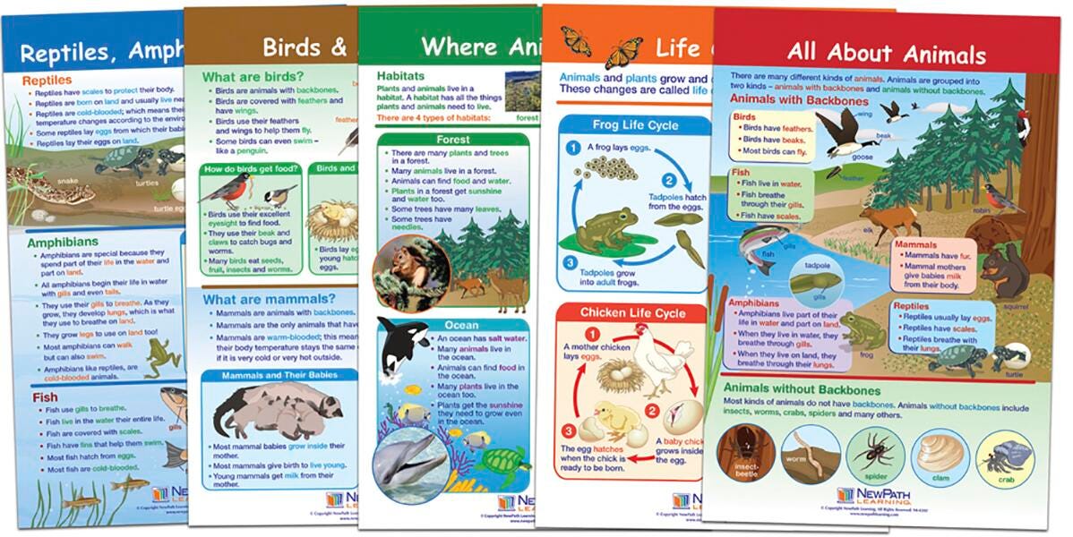 CHARTS BB ALL ABOUT ANIMALS SET/5 GR1-2