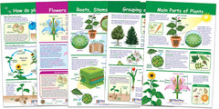 CHARTS BB ALL ABOUT PLANTS SET/5 GR3-5