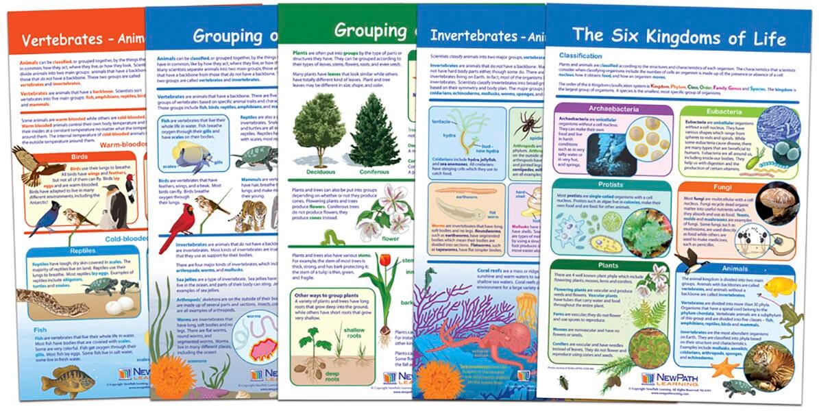 CHARTS BB SIX KINGDOMS OF LIFE SET/5 GR3-5