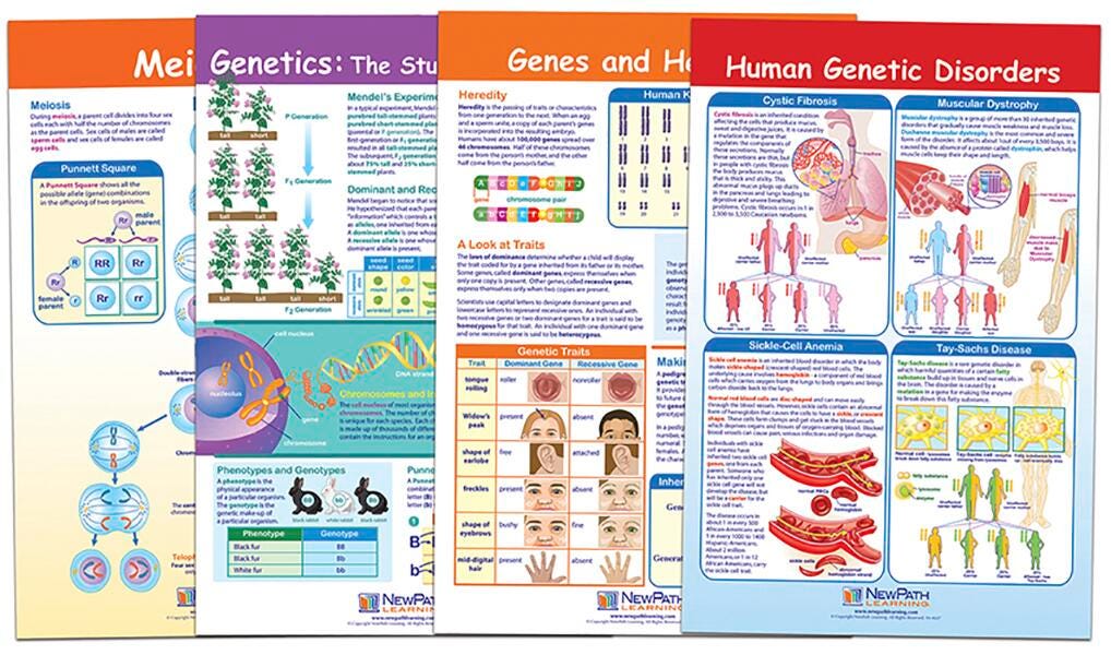 CHARTS BB MS GENETICS + HEREDITY SET/4